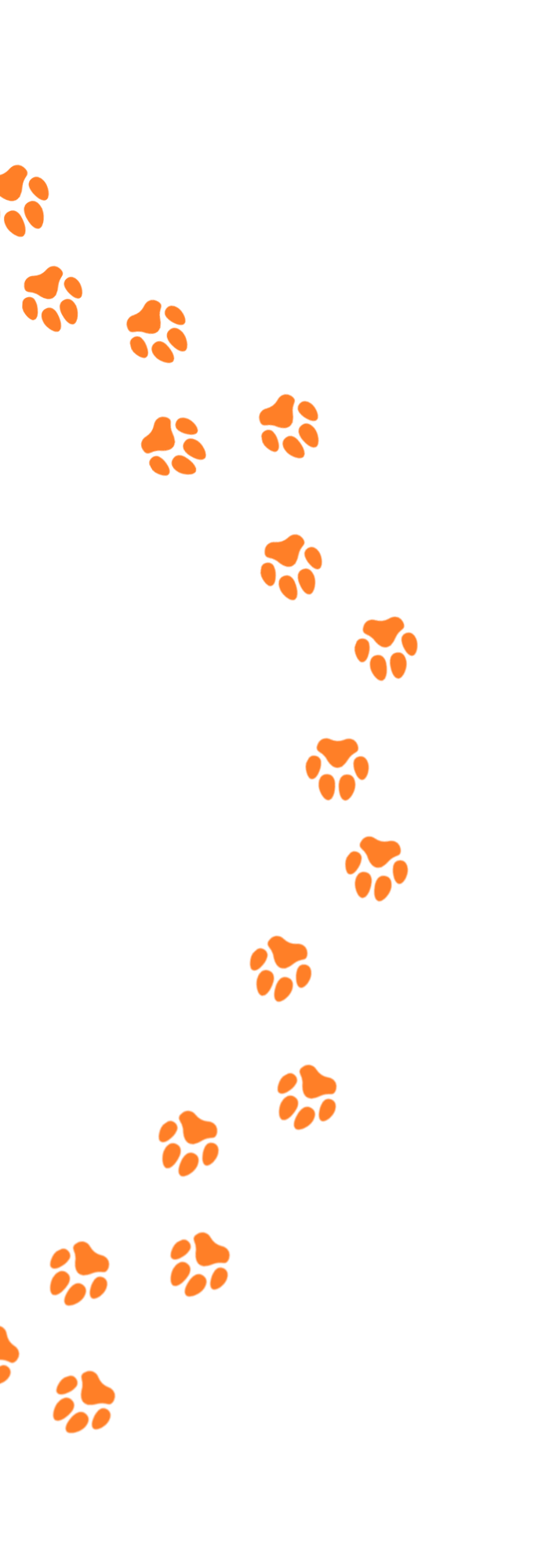 Pfoten Spur