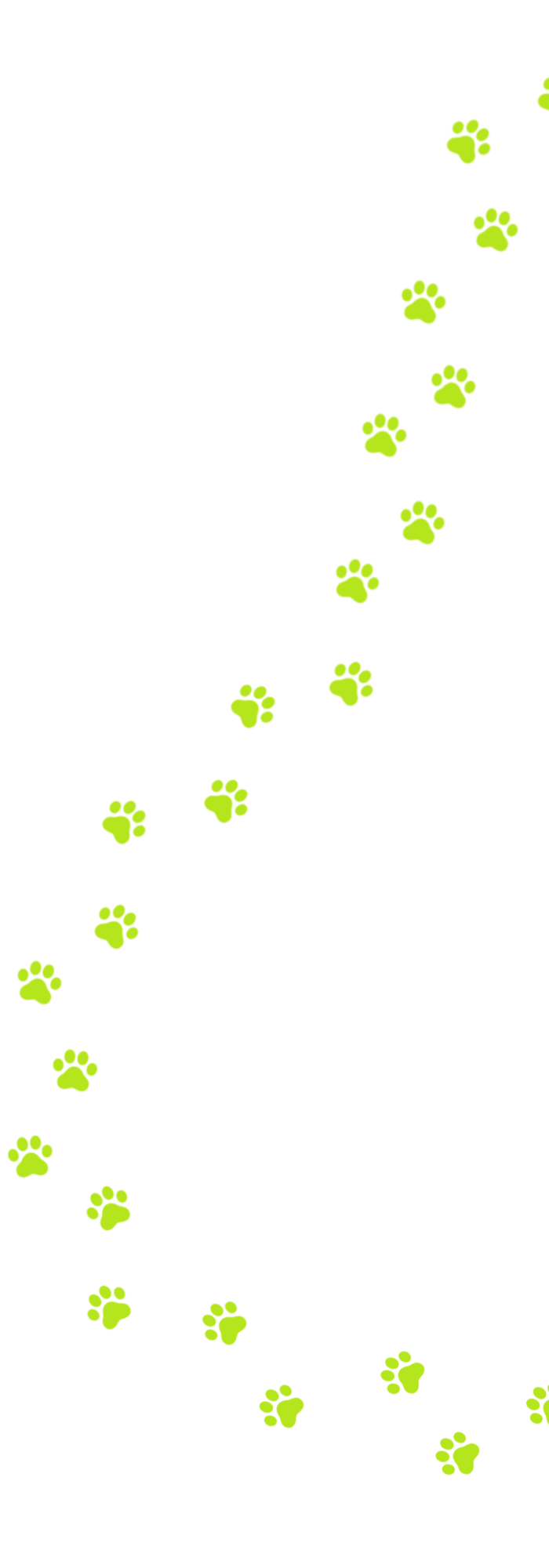 Pfoten Spur